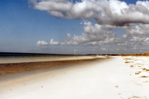 carrabelle_1
