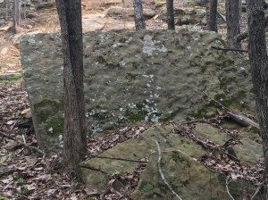 2015-04-09 10.51.30 HDR