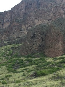 2016-08-04 13.46.26-1