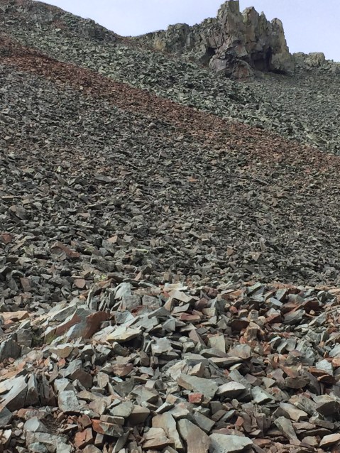 2016-08-06 09.46.01 HDR