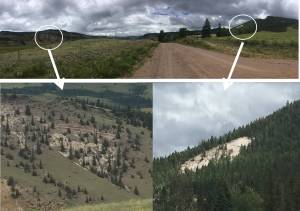 mineral creek composite