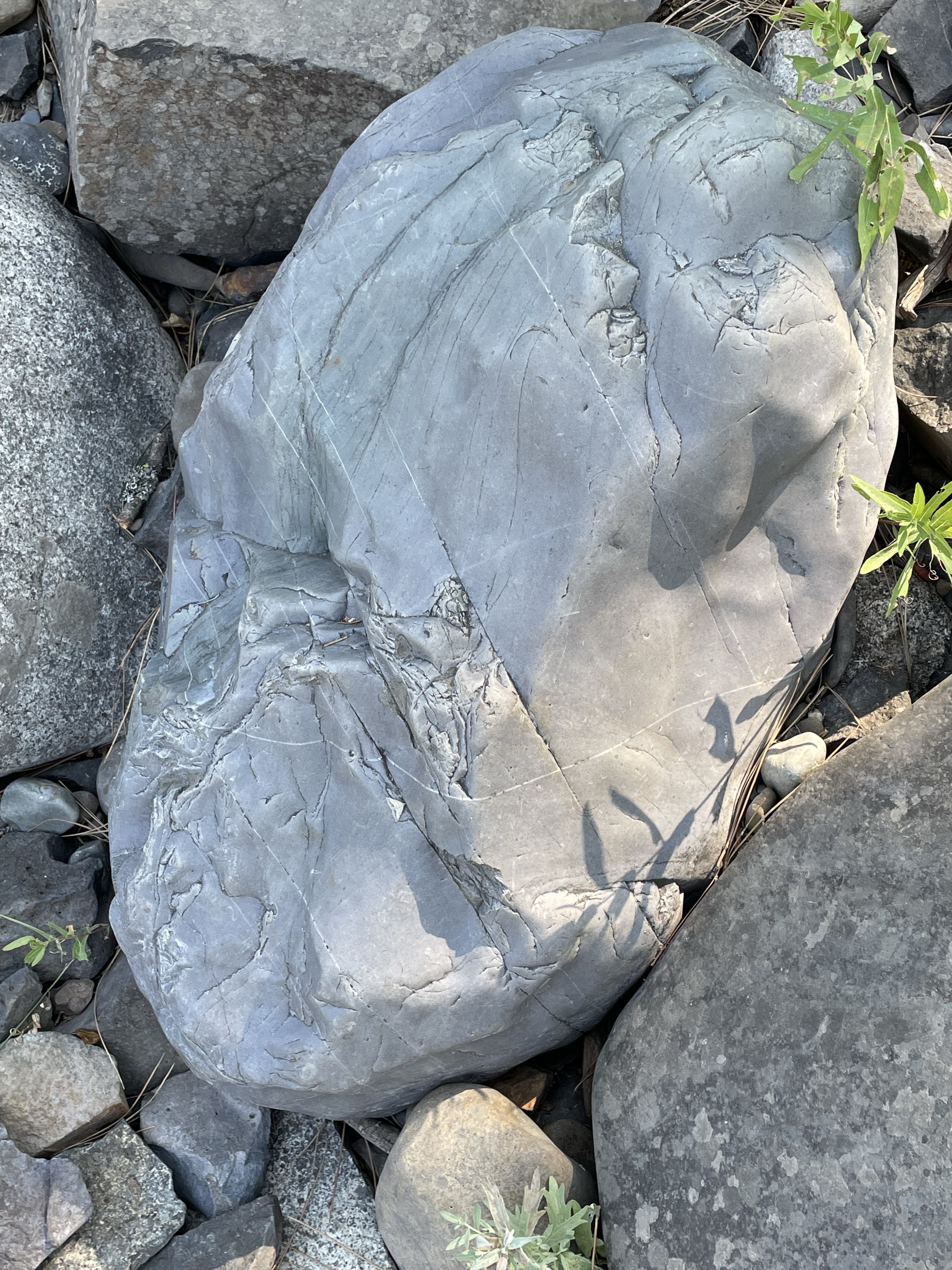 Pitche4r Rocks Bowl and Pitcher: Volcanic Rocks at Riverside Park, Spokane, WA ...