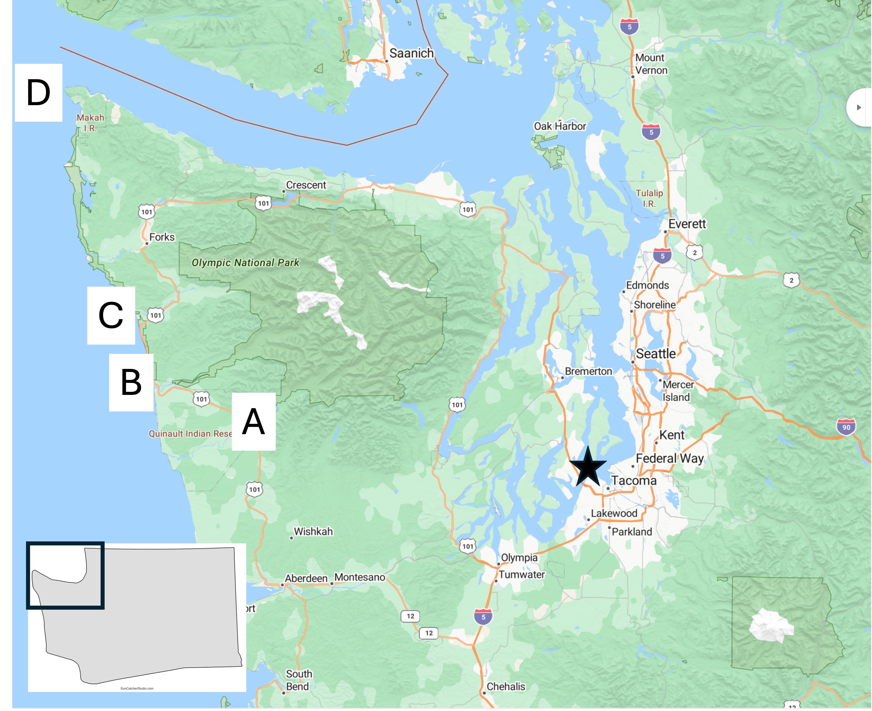 The Olympic Peninsula: Quinault Rainforest to Cape Flattery | Timothy R ...