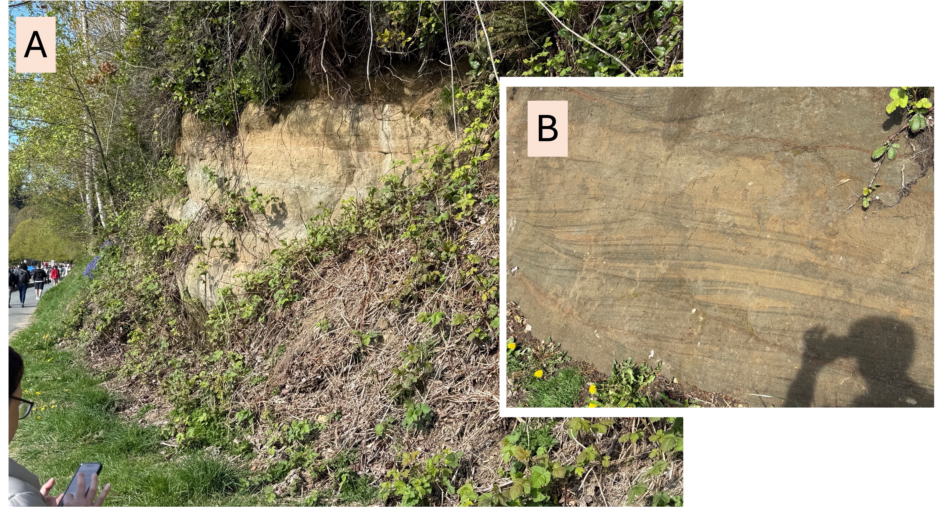 Cretaceous Intrusive Rocks in British Columbia | Timothy R. Keen